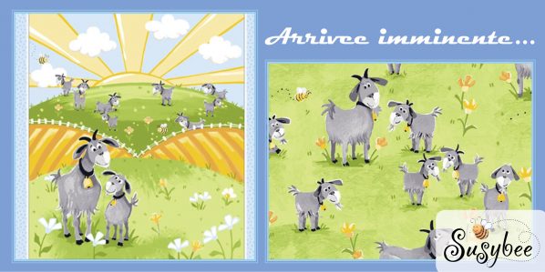 Newsletter_Coming soon-Susybee_TB2