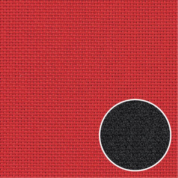 20012_22_Ladybug3