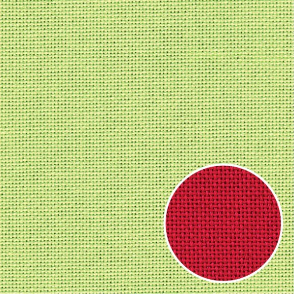 20012_22_Ladybug4